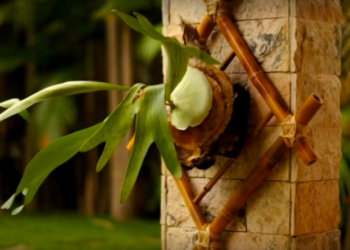 Support de bricolage pour les plantes en bambou