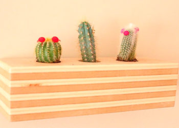 Faites-vous un beau vase en bois pas cher et simple!
