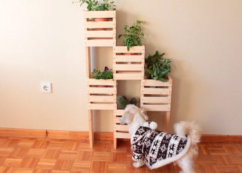 Faites-vous un jardin vertical avec du bois recyclé