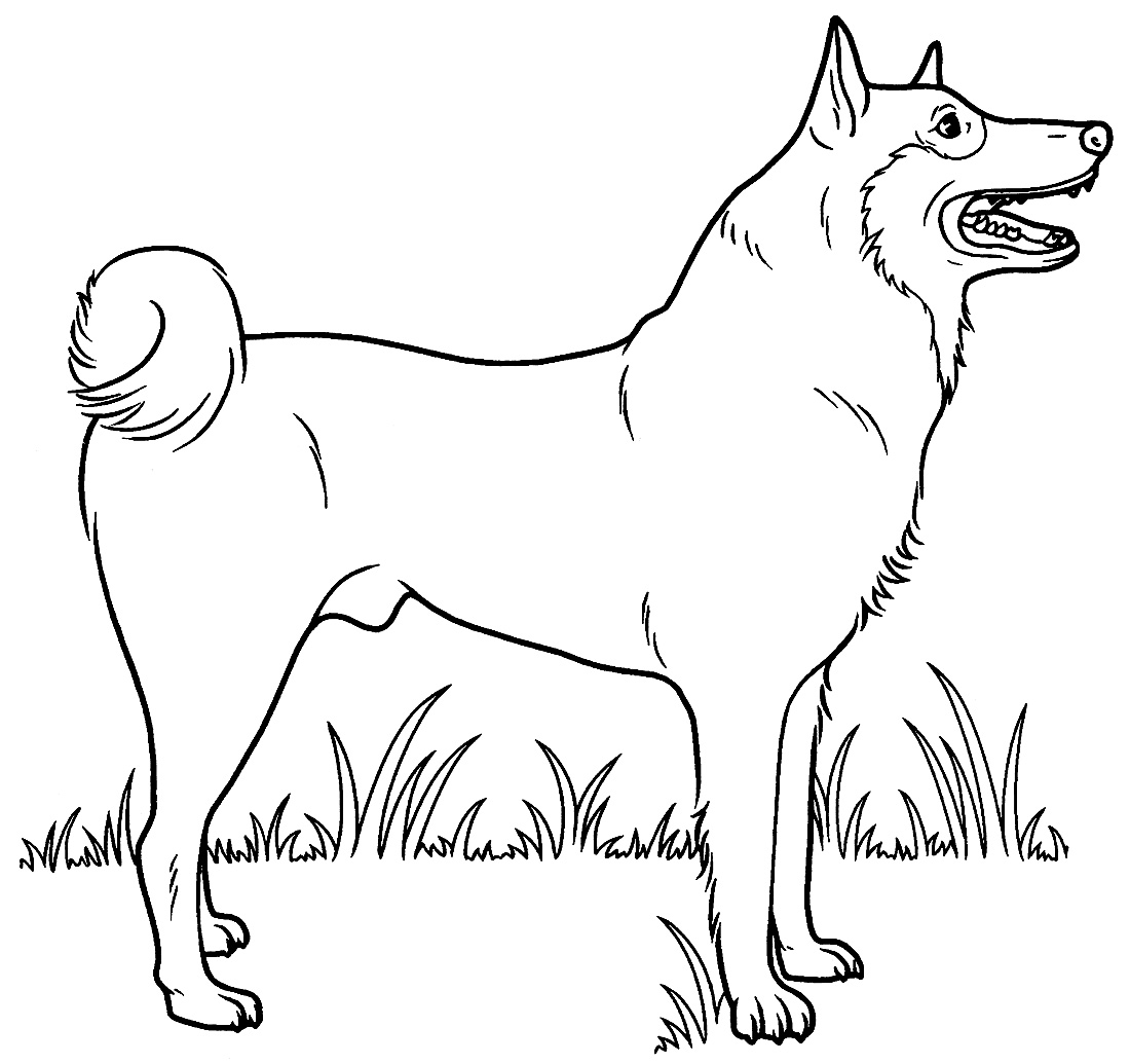 Image à colorier du chien 