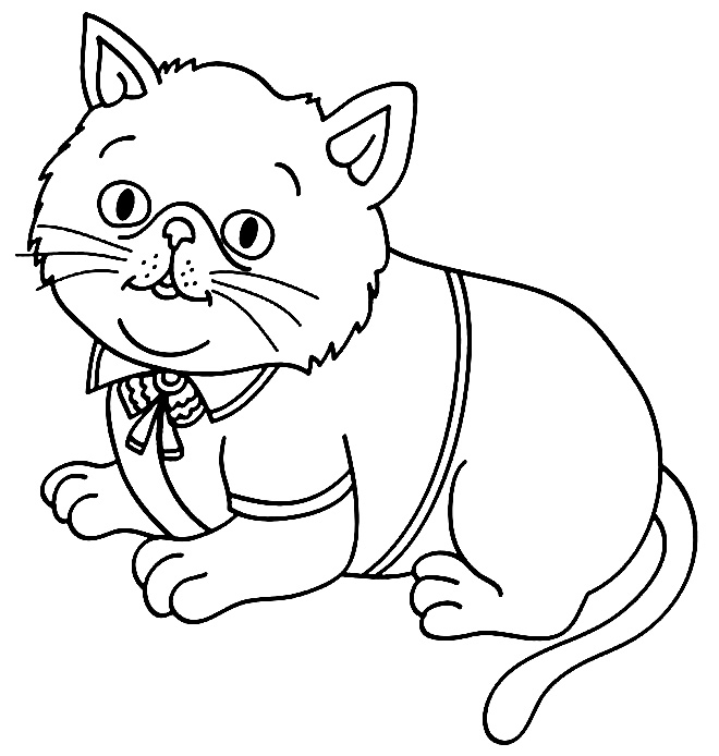 Coloriage de l'image du chaton 