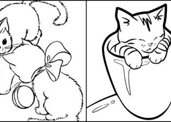 Coloriages Chatons