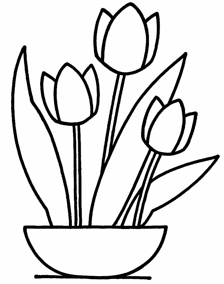 Image de tulipes à peindre 