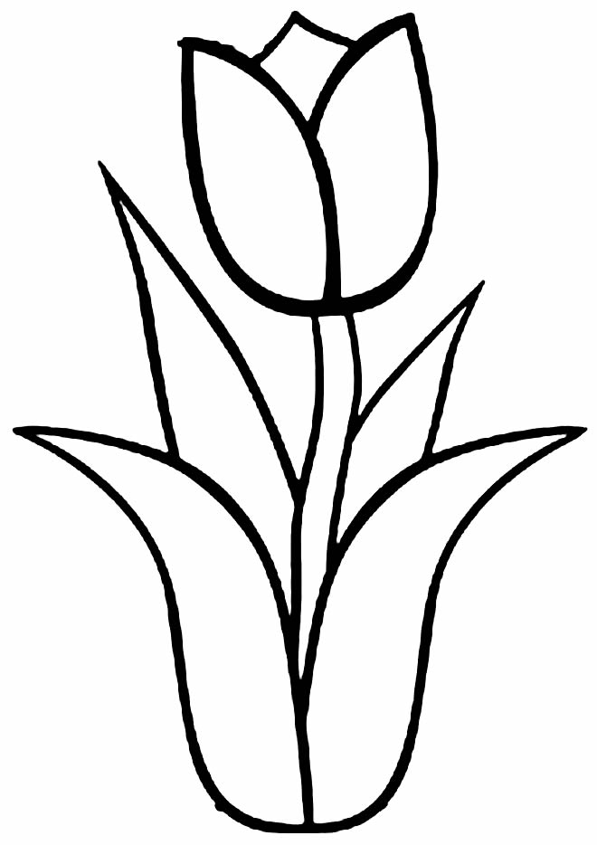 Image de tulipe à peindre 