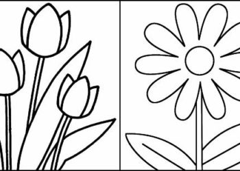Coloriages de fleurs
