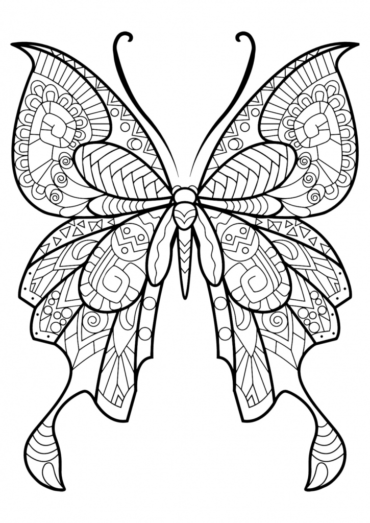 coloration de papillon