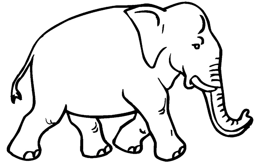 Imagem de elefante para pintar