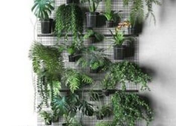 22 plantes d’intérieur bon marché et peu d’entretien