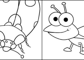 Desenhos para colorir de insetos