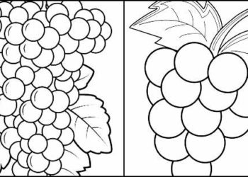 Desenhos para colorir de uva