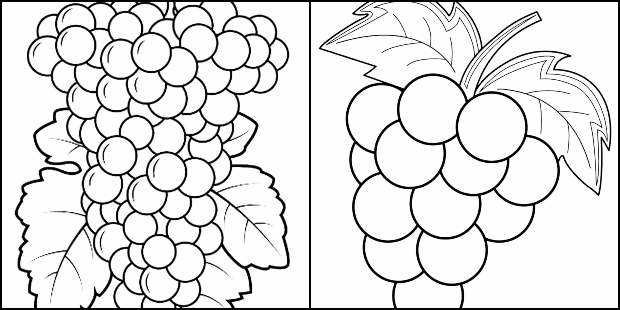 Desenhos para colorir de uvas