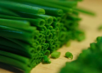 Apprenez à planter de la ciboulette à la maison