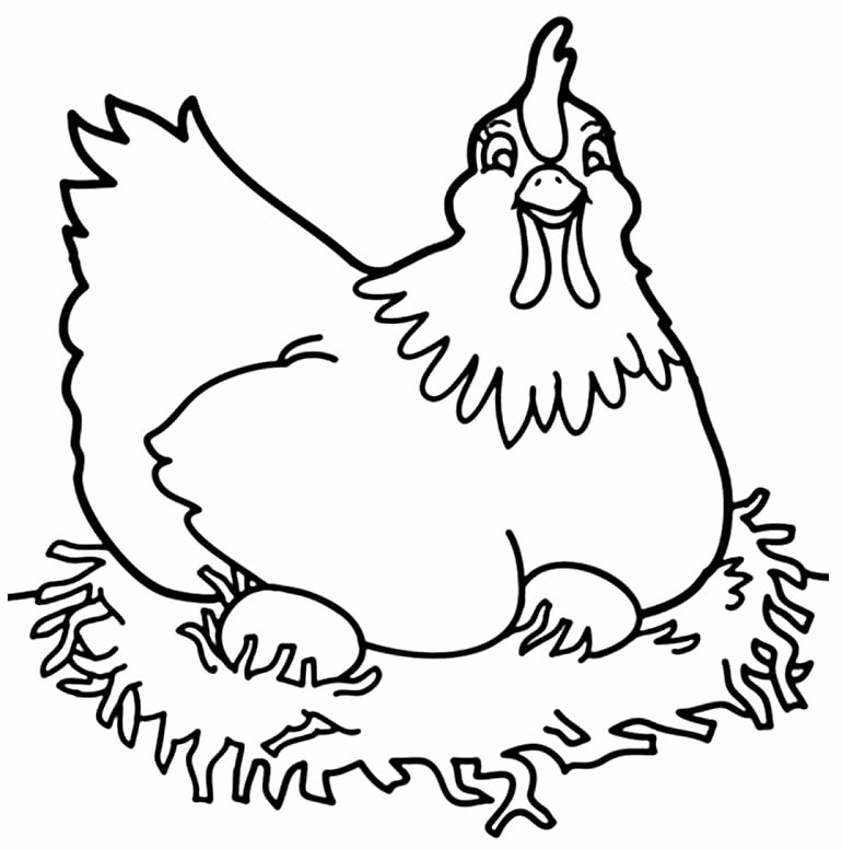 Imagem de galinha para pintar