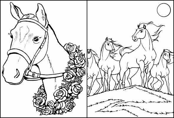 Desenhos para colorir de Cavalos