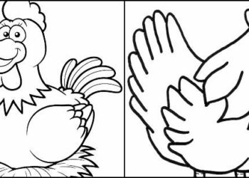 Desenhos de galinha para colorir