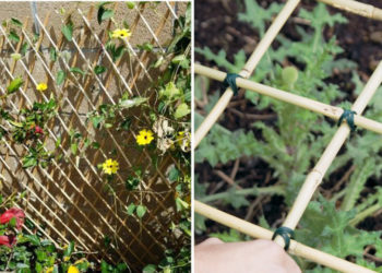 Voyez comment faire étape par étape