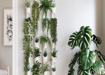 5 dicas do Pinterest para decorar sua casa com plantas