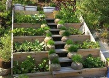 85 Stunning Backyard Vegetable Garden Design Ideas