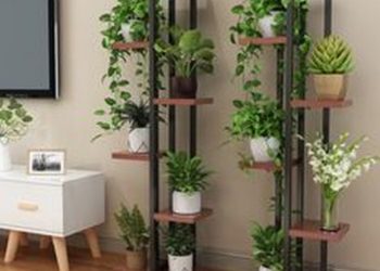 87 Indoor Plant Ideas That’ll Instantly Breathe Life Into Your Home