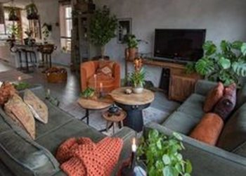87 Indoor plants living room
