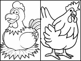 Desenhos de galinha para colorir