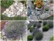 Décoration de jardin avec des pierres
