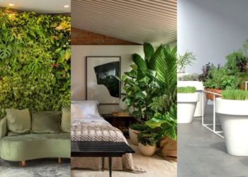 12 idées de jardins qui s’intègrent dans les appartements