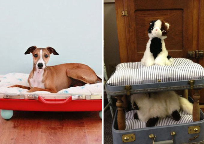 comment faire un lit pour animal domestique avec une valise