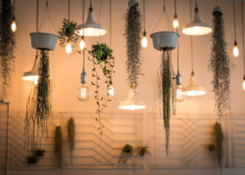 Comment choisir la bonne lampe pour chaque environnement