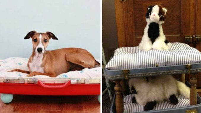 comment faire un lit pour animal domestique avec une valise