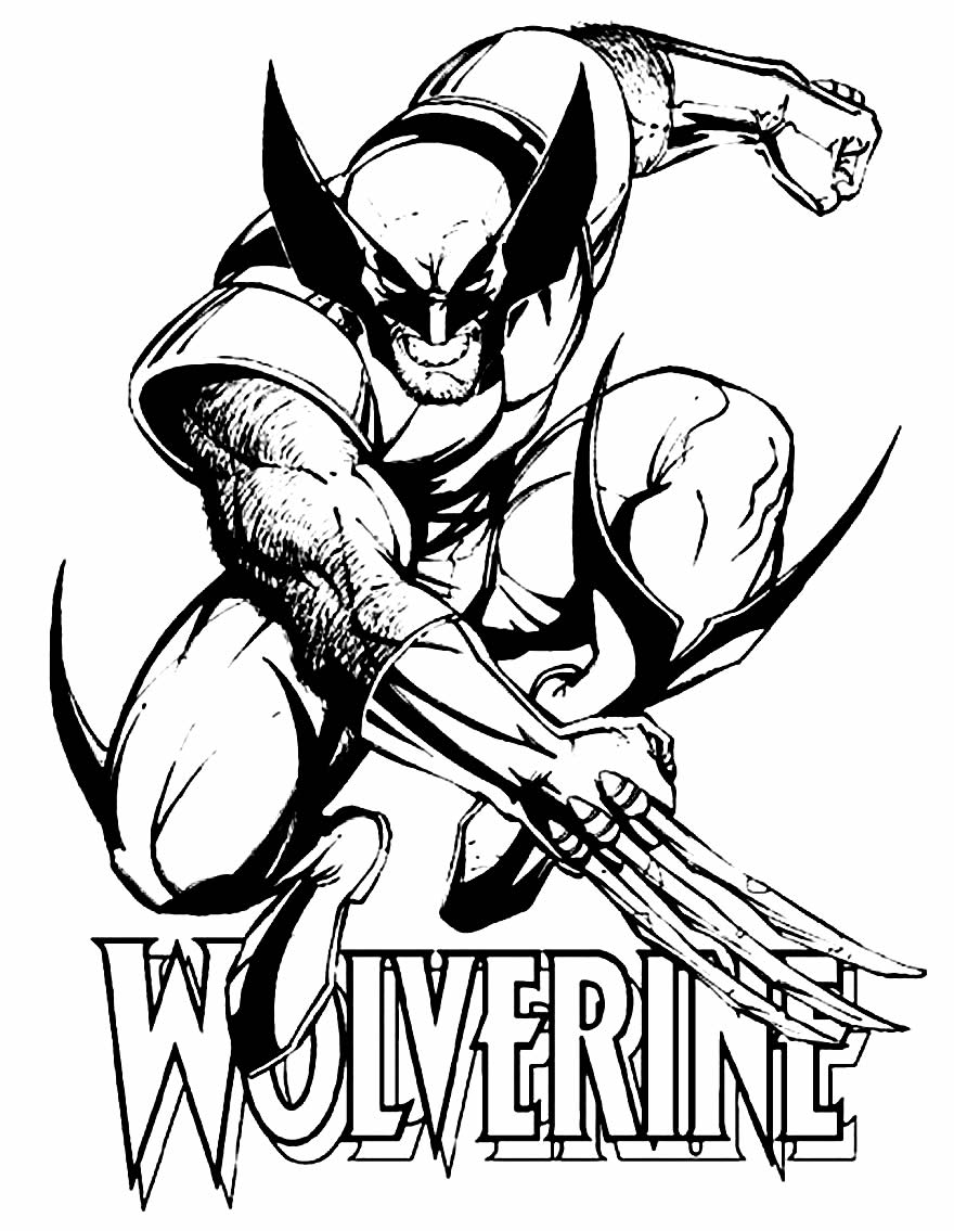 Dessin de Wolverine à peindre