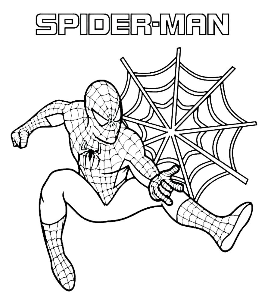 Image Spiderman à peindre