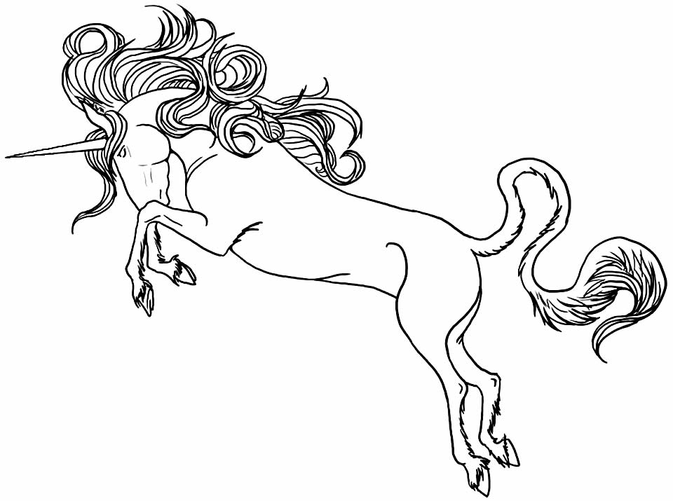 Coloriage Licorne