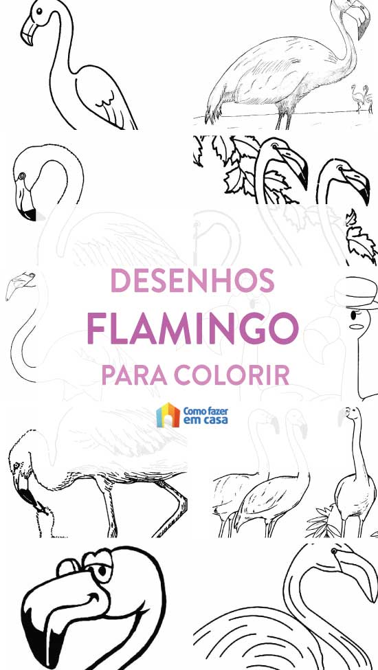 Coloriages Flamingo