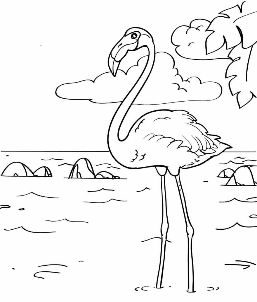 Coloriage flamant rose