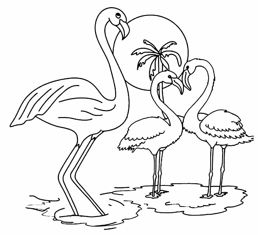 Image Flamingo pour impression