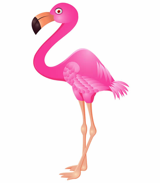Modèle Flamingo