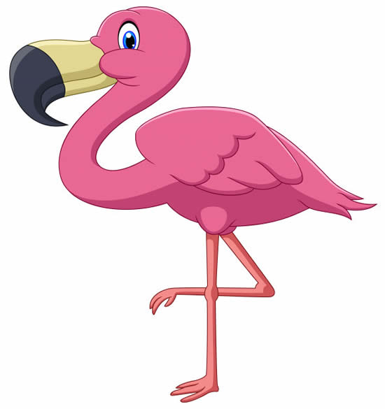 Modèle Flamingo