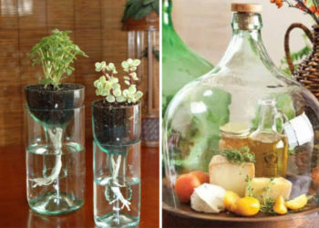 Comment recycler les bouteilles en verre