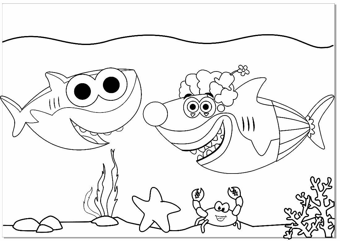 Coloriage bébé requin