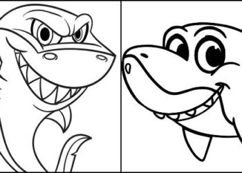 Coloriage bébé requin