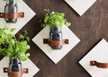 Potager: apprenez à en assembler un avec des pots en verre