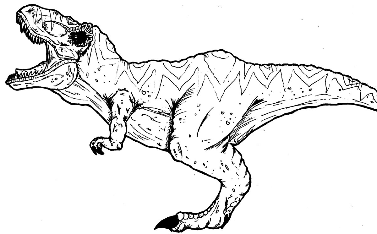 Coloriage - Dinosaure T-Rex