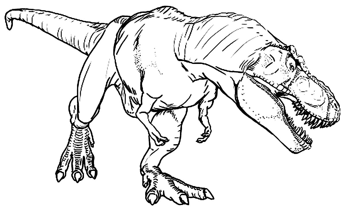 Image T-Rex à peindre