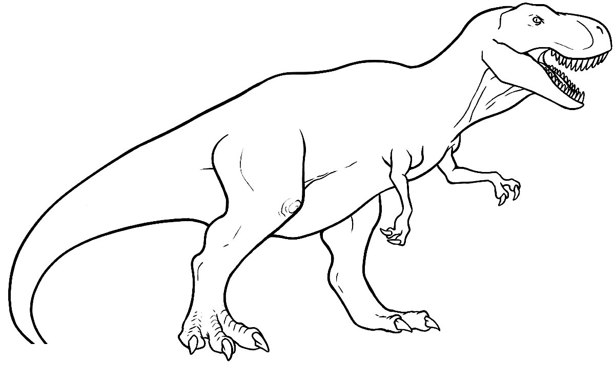 Dessin T-Rex à peindre