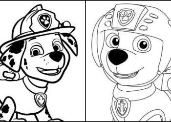 Coloriage de Paw Patrol à imprimer et colorier