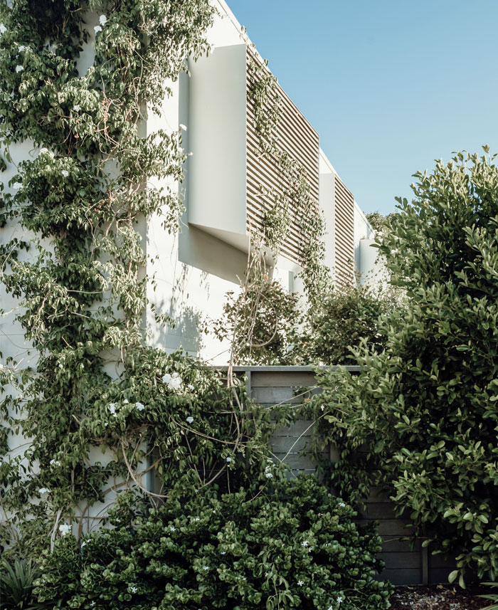 sunshine beach house teeland architectes 11