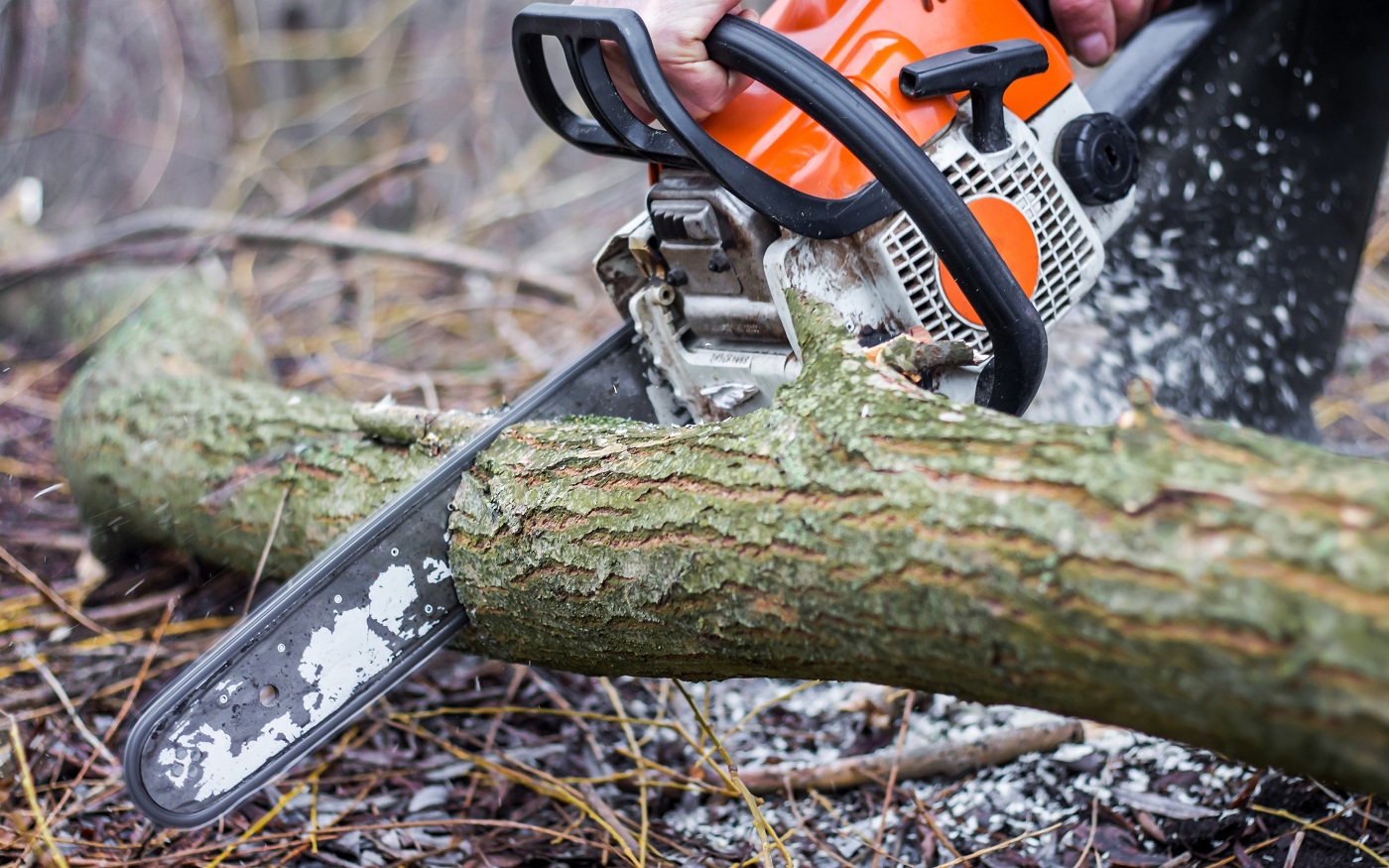 Un homme à l'aide d'une tronçonneuse scie un journal dans une forêt