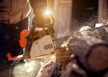 5 meilleures tronçonneuses Stihl de 2021 [Reviewed & Buyer’s Guide]