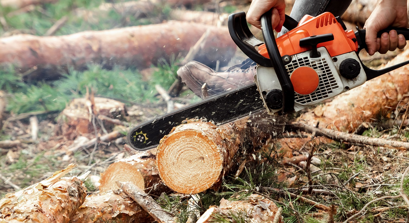 Tronçonneuse professionnelle se bouchent, journalisation.  Abattre des arbres, destruction de la forêt.  Le concept de destruction industrielle des arbres, causant des dommages à l'environnement.